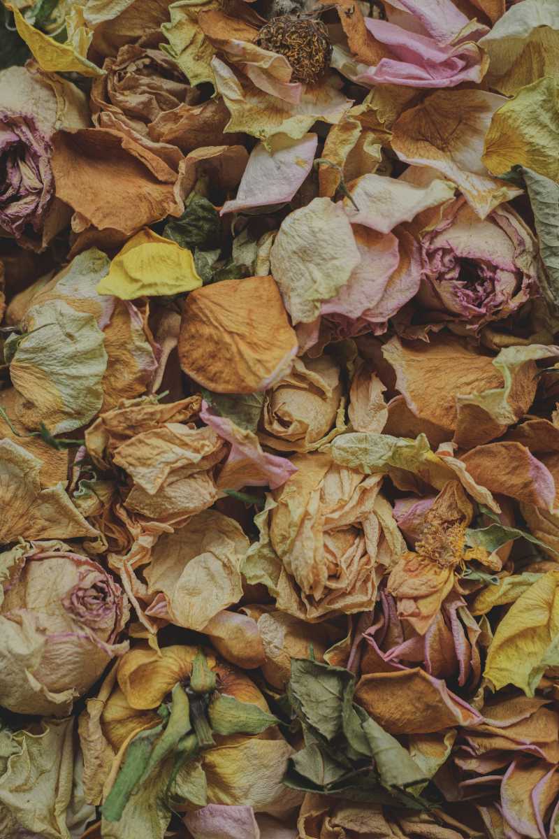 a pile of dried flowers sitting on top of a table - jigsaw puzzle