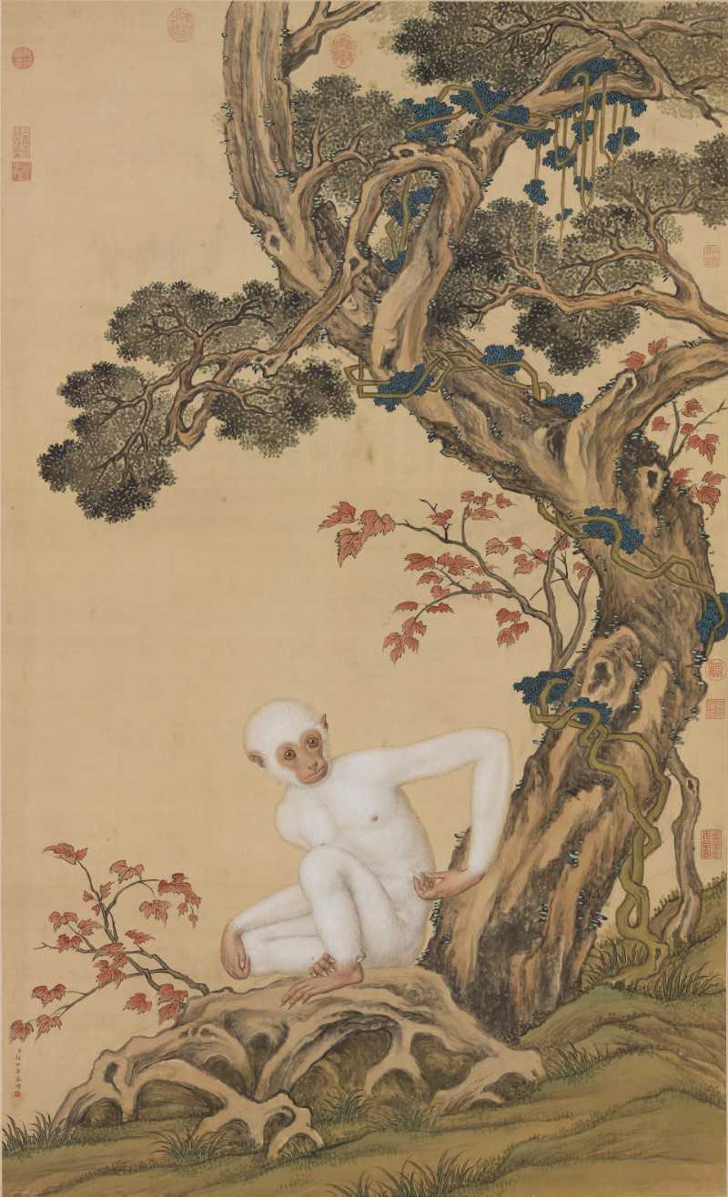 The White Ape Painted by Lang Shining of the Qing Dynasty - jigsaw puzzle