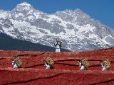 a public perfomance in Jade Dragon Snow Mountain Open Air Theatre - jigsaw puzzle