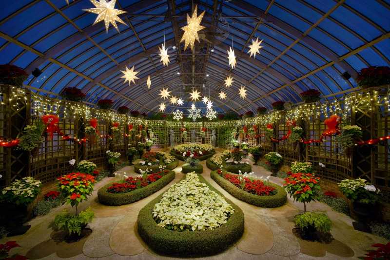 Phipps Conservatory the winter flower show - jigsaw puzzle