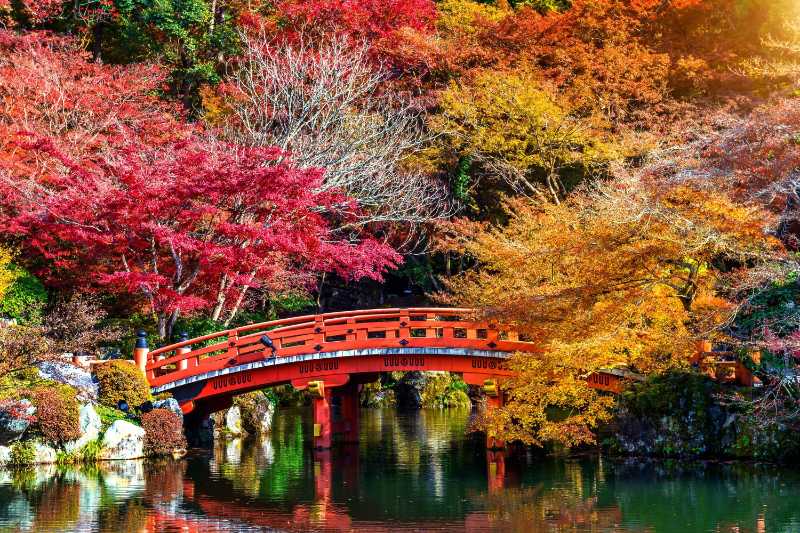 Red bridge in beautiful park with colorful leaves
