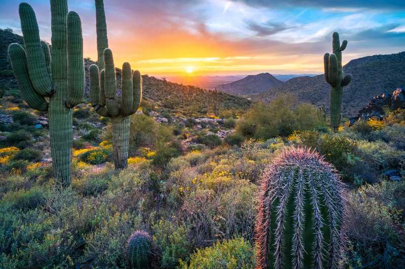 Spectacular sunset lights up the McDowell Mountains - jigsaw puzzle