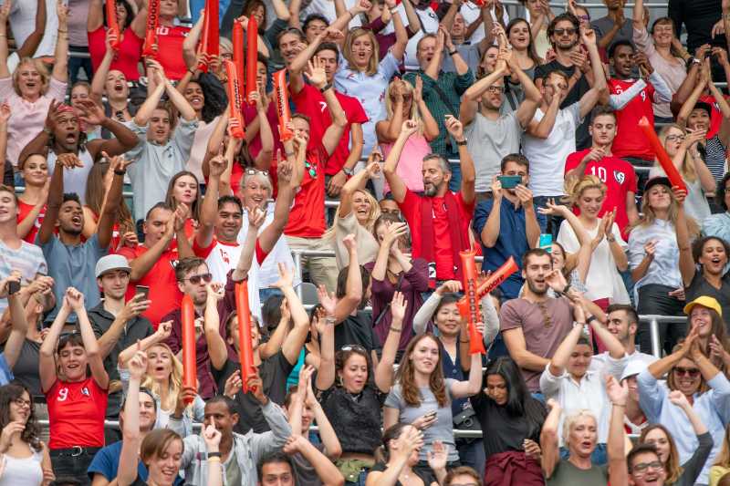 The football stadium was packed with people celebrating - jigsaw puzzle