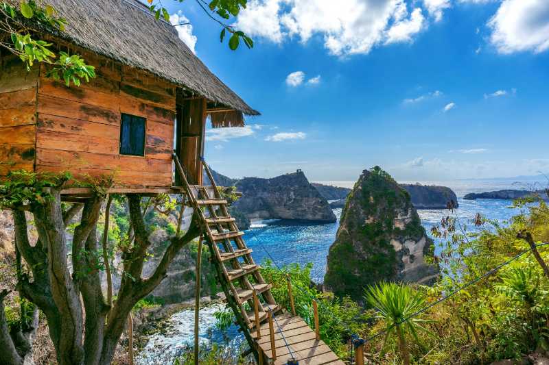 Tree house and Diamond beach in Nusa penida island - jigsaw puzzle