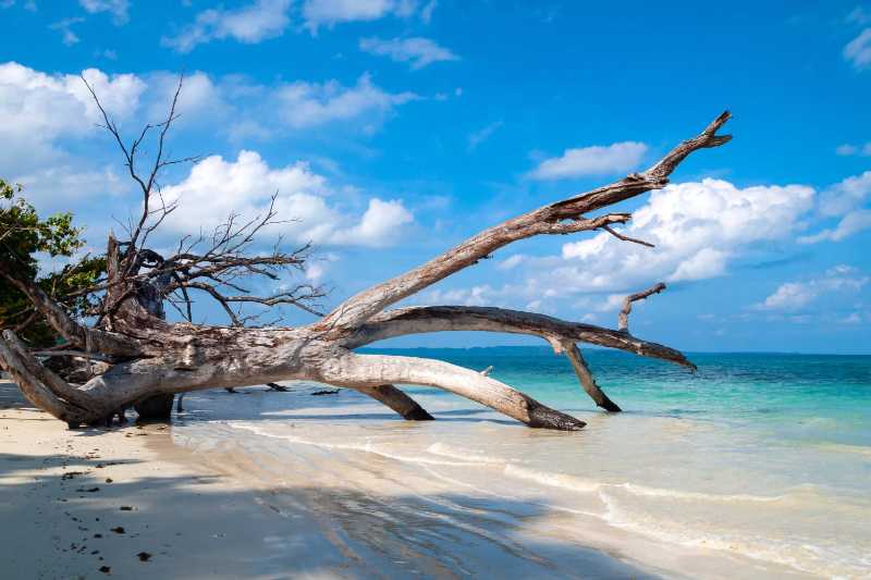 Tropical beach Andaman Islands - jigsaw puzzle