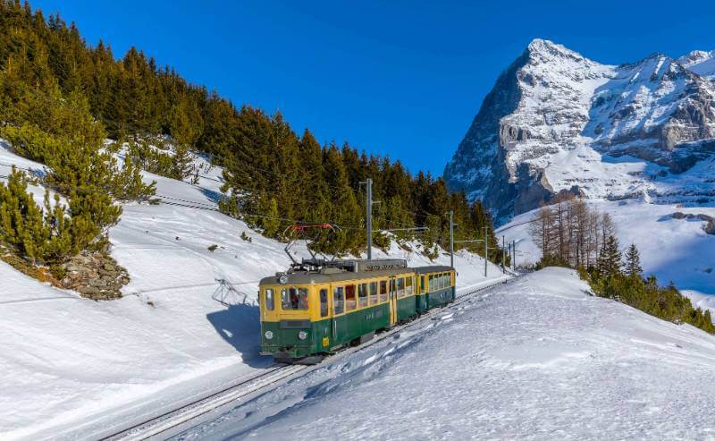 railcar headed down from Kleine Scheidegg to Wengernalp - jigsaw puzzle