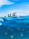 海上的白色小船和水下的鱼 - 拼图游戏