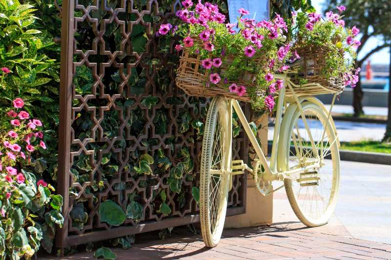 Uma bicicleta com uma cesta de flores fica perto da cerca como decoração