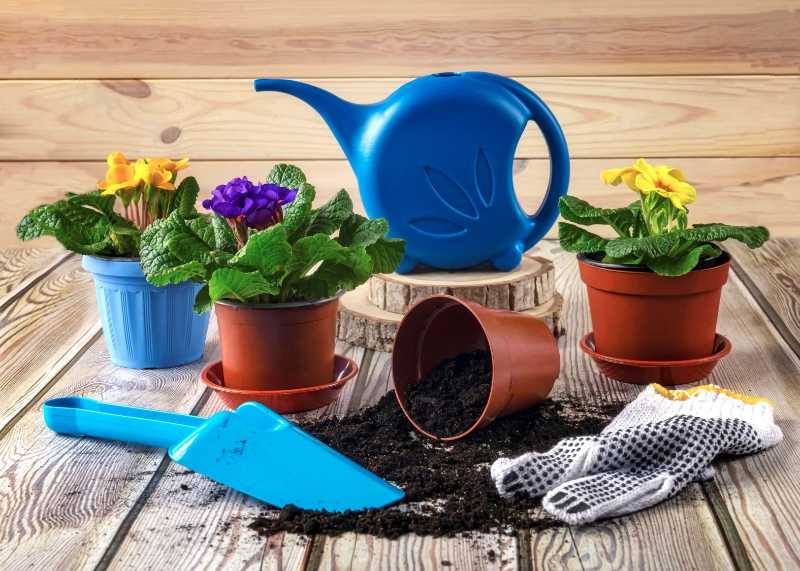 A blue watering can with a blue shovel and some flowers on a wooden table