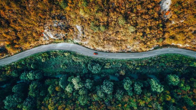 a road through an autumn forest - jigsaw puzzle