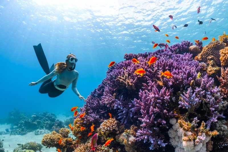 una donna fa immersioni subacquee su una barriera corallina colorata