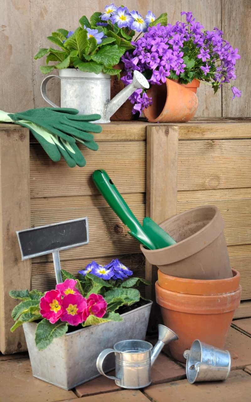 Accessoires de jardinage et de fleurs