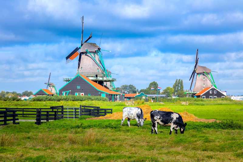 Panorama da paisagem agrícola de uma vila holandesa com moinhos de vento pequenas casas pastagens e prados