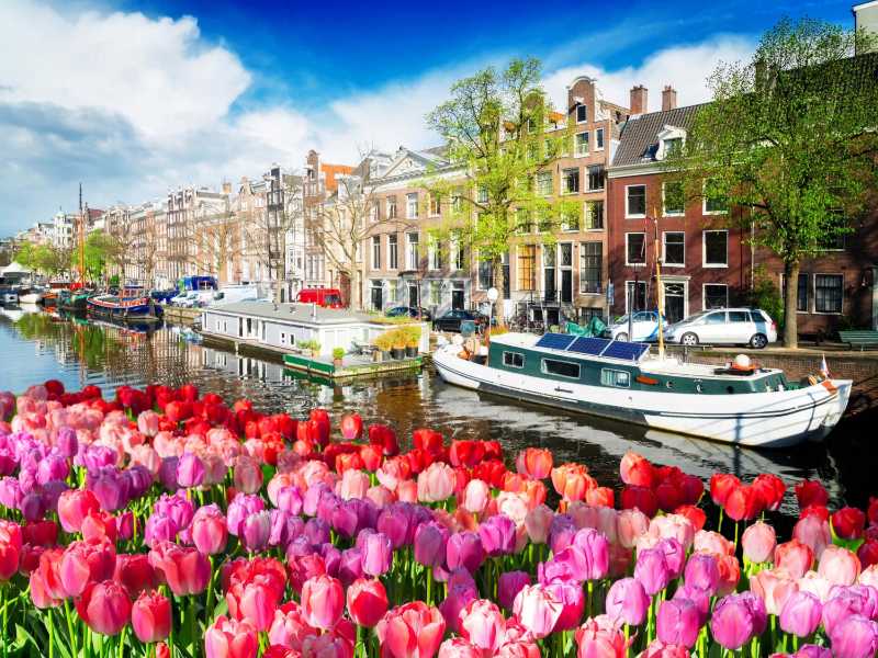 Amsterdamer Kanalufer mit blühenden Tulpen im Frühling
