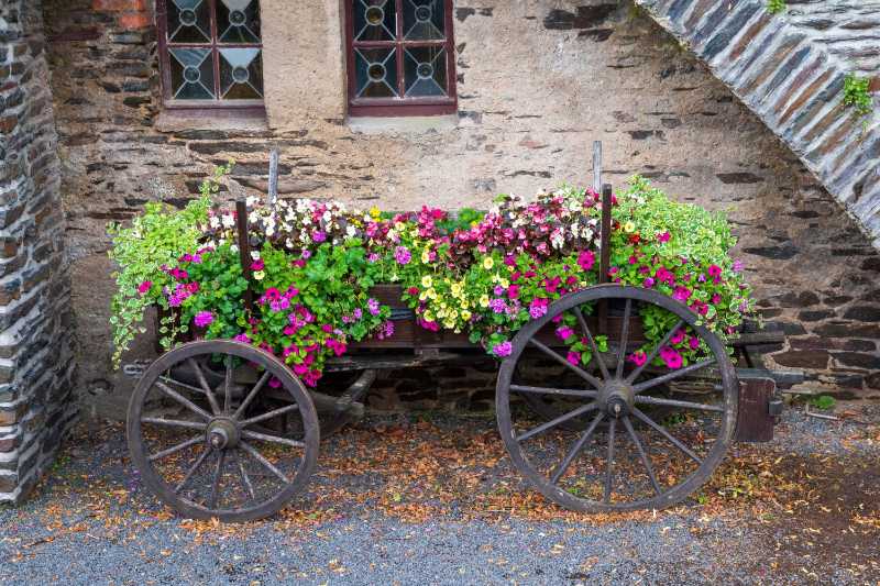 An old wooden cart filled with flowers