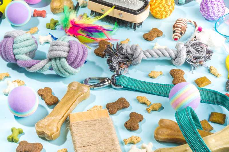 Assortment of Colorful Pet Toys and Dog Treats