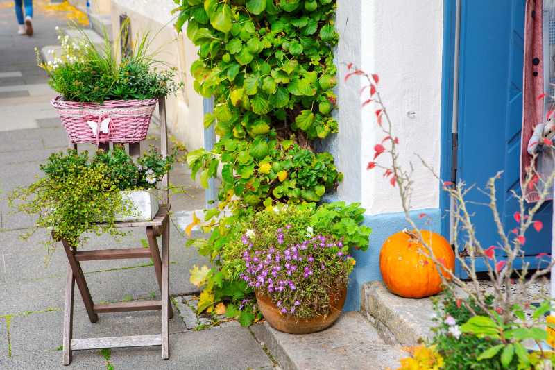Autumn Porch Decor with Potted Plants and a Pumpkin