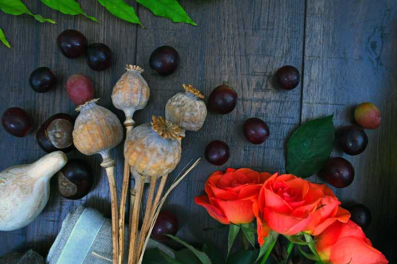 Bodegón otoñal con rosas anaranjadas y ciruelas sobre madera oscura