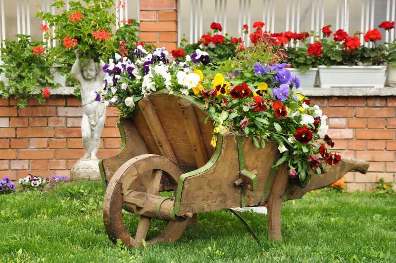 Chariot de jardin avec des fleurs
