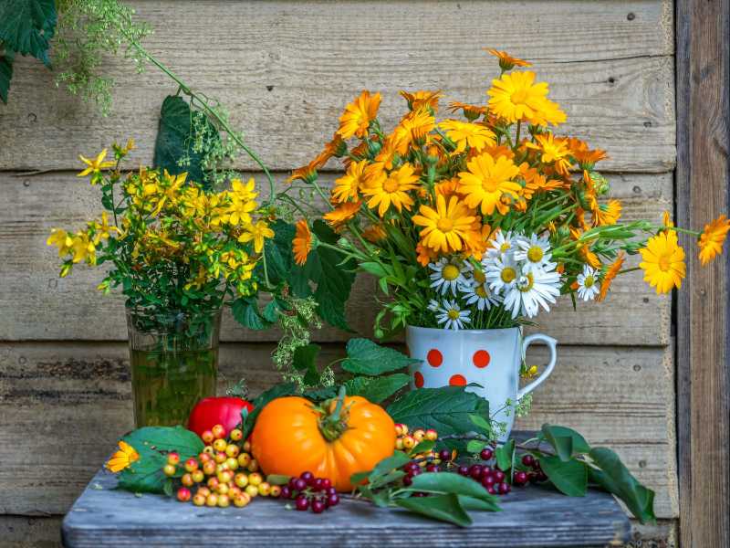 bouquets of medicinal flowers and st john's wort
