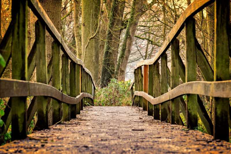 bridge path park wooden bridge - jigsaw puzzle