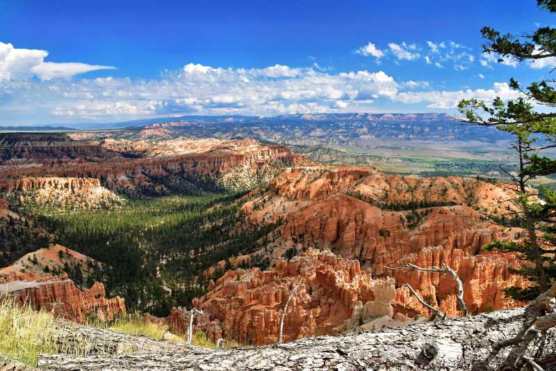 Bryce-Canyon-Nationalpark im Sommer