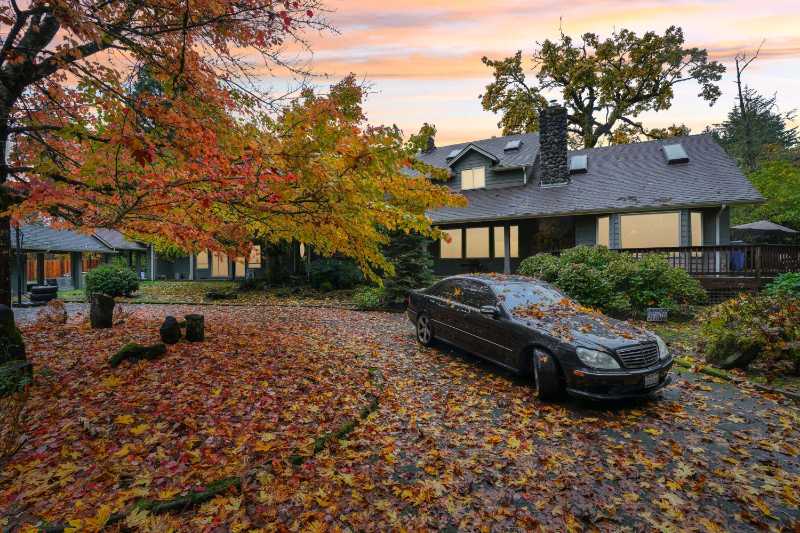 Charming Autumn Residential Scene with Leaf-Covered Driveway