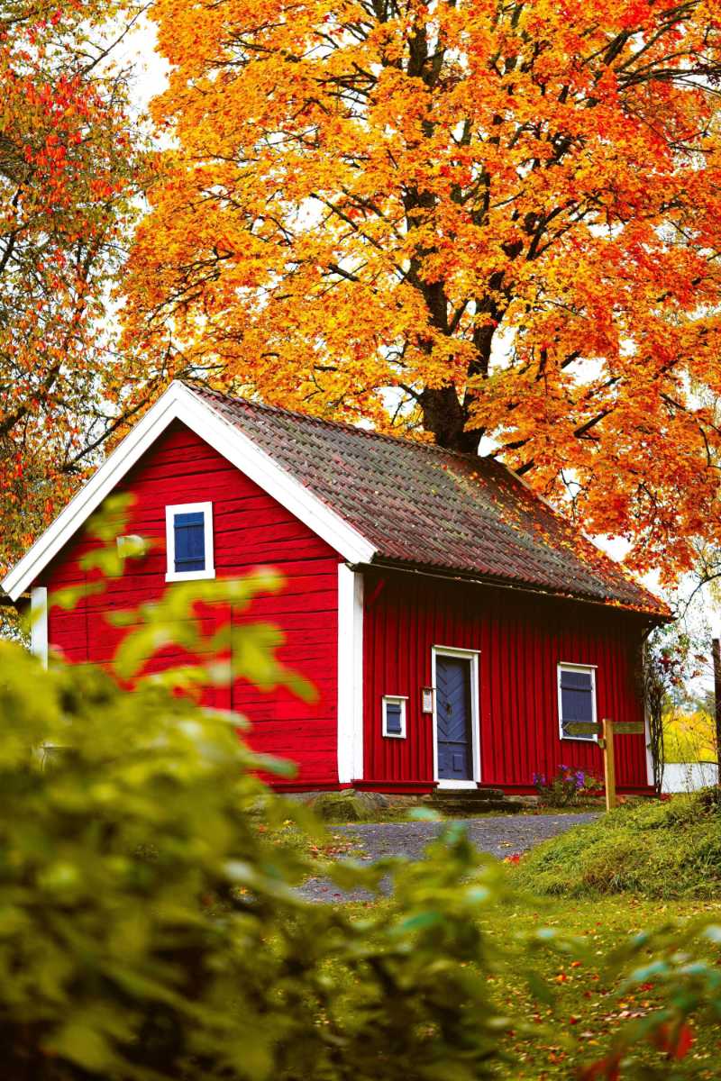 Charming Red Cabin in Autumnal Forest Setting