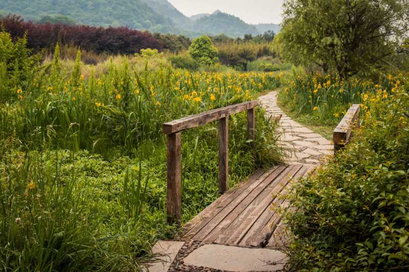 china meadow guizhou path scenery - jigsaw puzzle