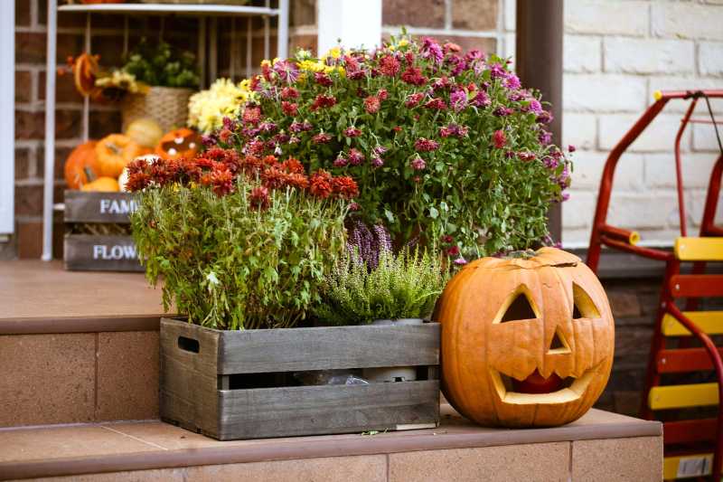 Classic Halloween Porch Decor Jack-o'-Lantern and Autumn Mums