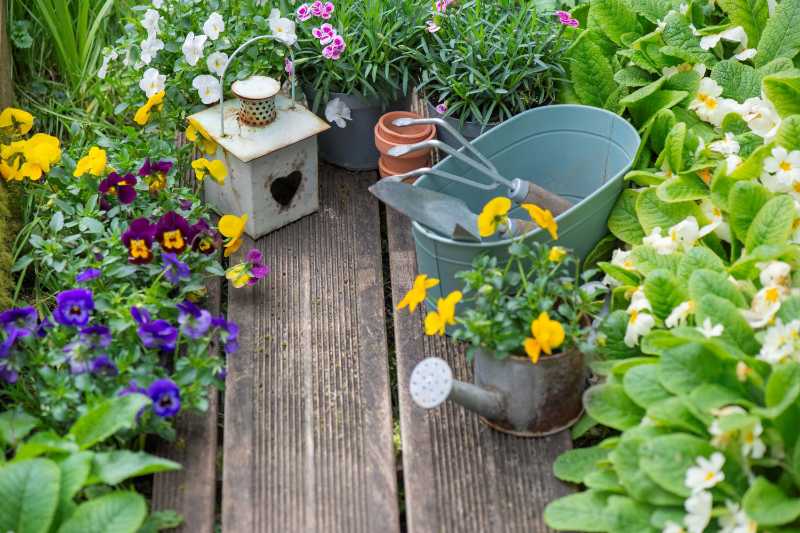 Colorful flowers blooming and arranged on wooden terrace with decorative flower pots and lantern