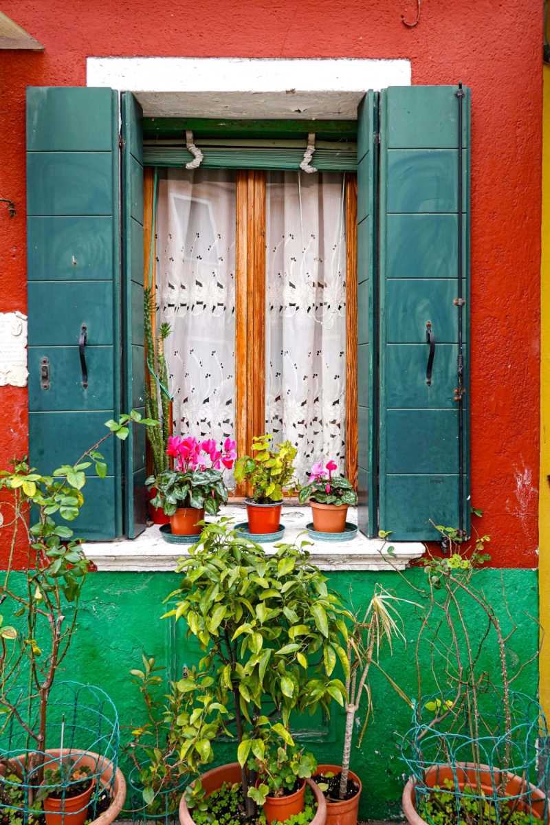 Buntes Fenster mit grünen Fensterläden und Pflanzen