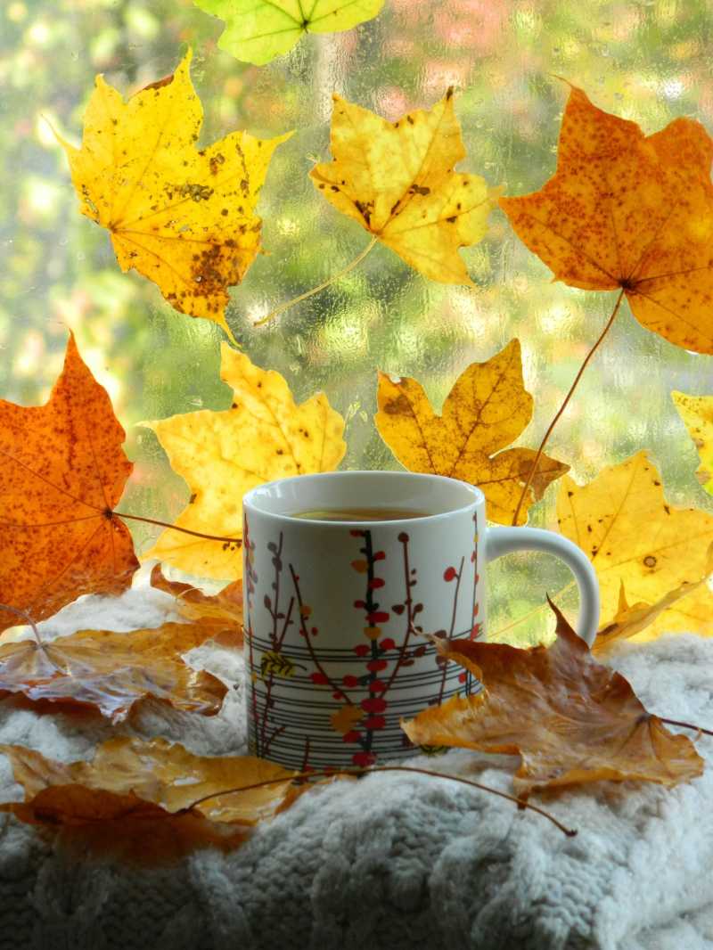 Cozy Autumn Morning with Hot Drink and Yellow Leaves on Window