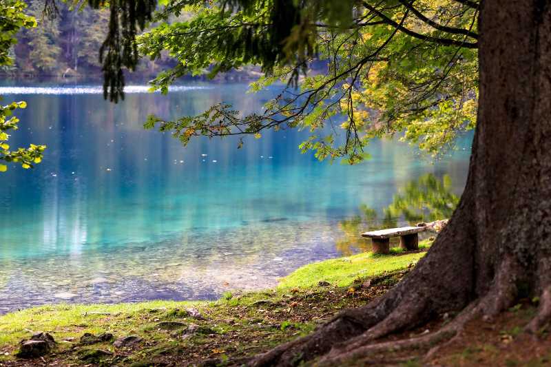 Vista panorámica de la orilla del lago cristalino con agua turquesa y banco