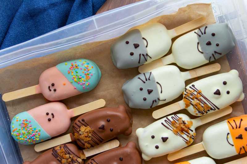 Cute Animal Ice Cream Bars for a Fun Celebration