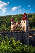 detail of the forest of the kingdom of dames - jigsaw puzzle