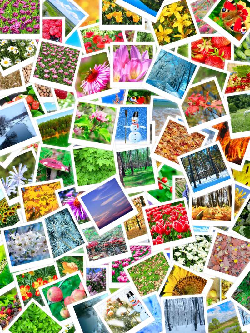 Different Photos in Big Pile