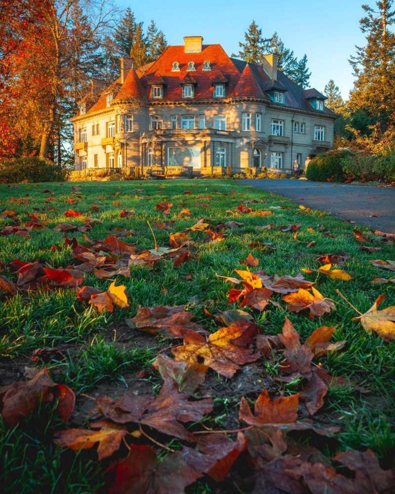 Trockene Ahornblätter auf Gras in der Nähe von Pittock Mansion