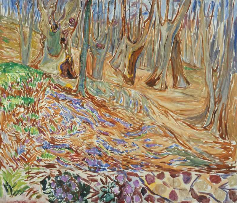 Elm Forest in Spring