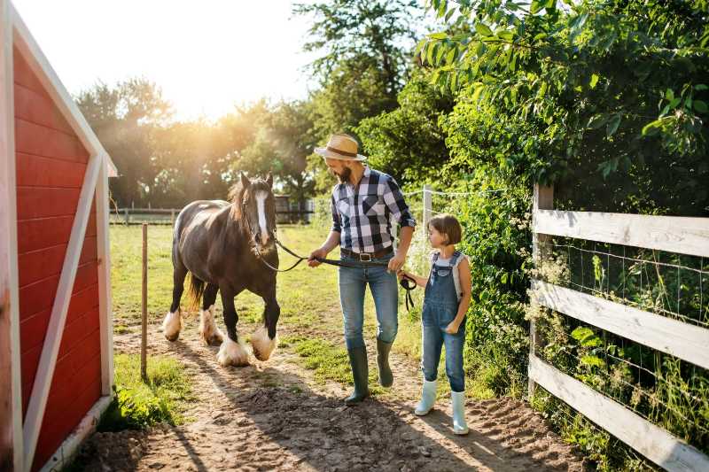 padre e figlia con un pony che lavorano in una piccola fattoria di animali di famiglia