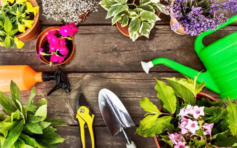 Fiori in un vaso e attrezzi da giardino su una superficie di legno