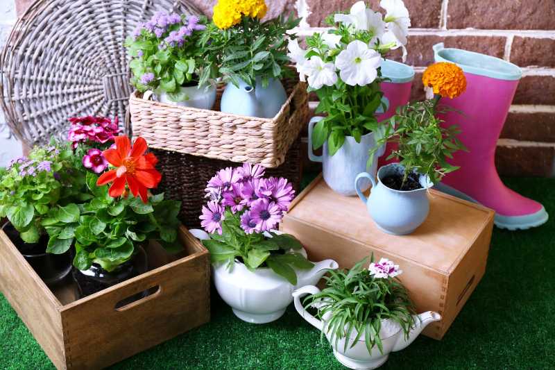 Flores em vasos decorativos e ferramentas de jardim na grama verde sobre fundo de tijolos