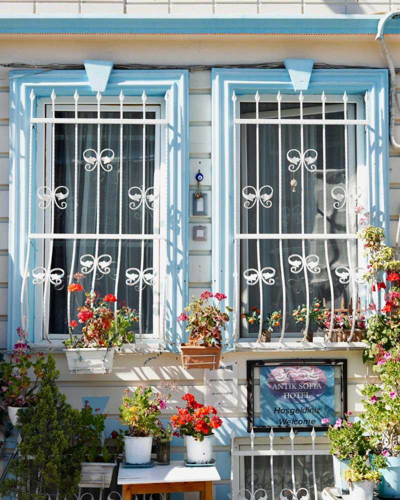 Flowers in Pots Surrounding Crated Windows