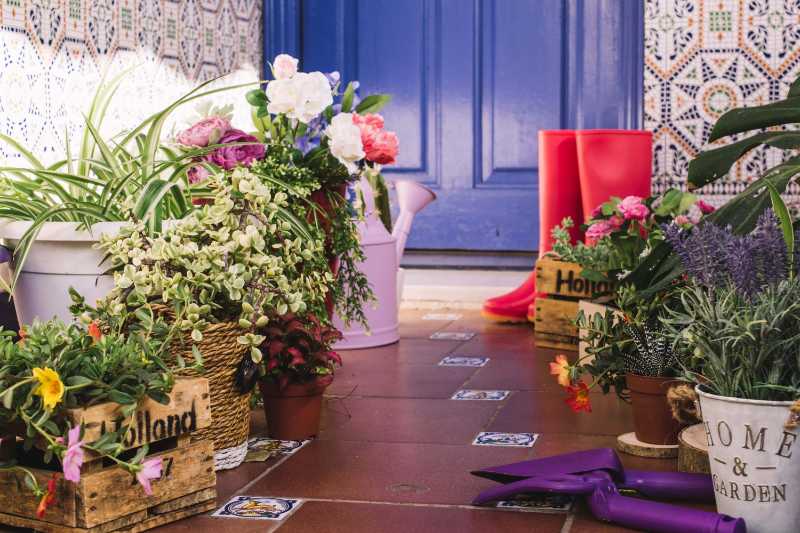 Blumen Pflanzen und Gartengeräte