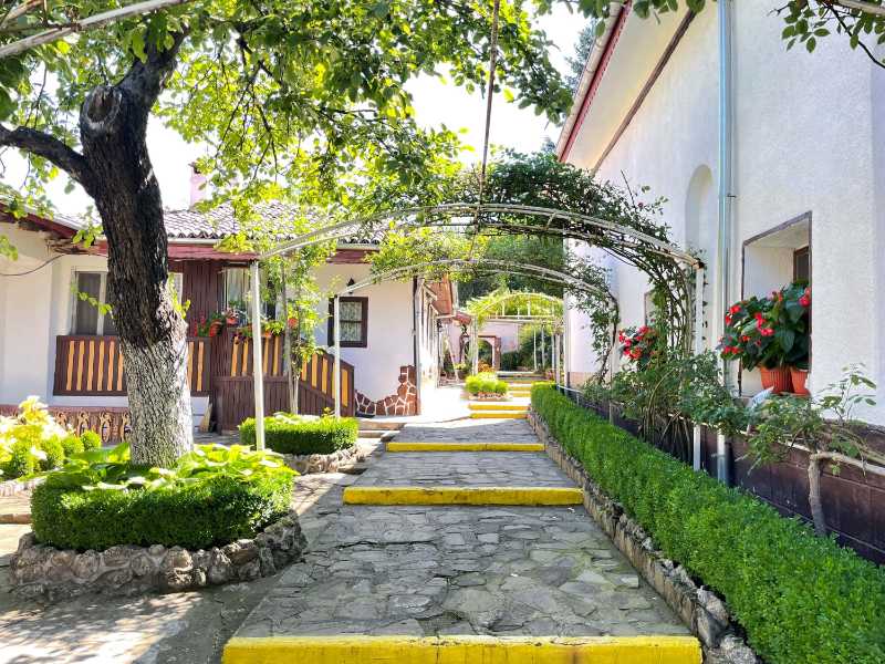 Footpath amidst houses and trees in the village