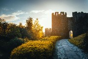 gray concrete triumphal arch surrounded by flowers - jigsaw puzzle