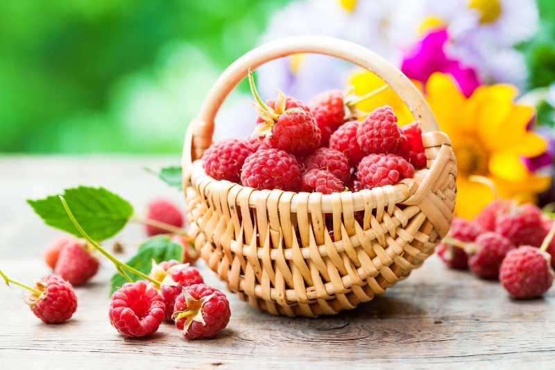 
Fresh raspberries in basket and flower bouquet on on background outdoors