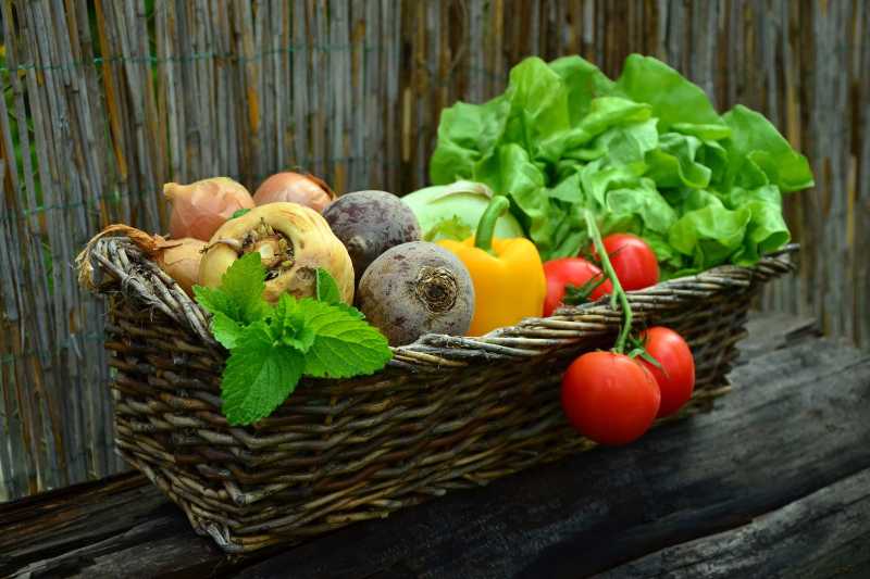 Fresh Garden Vegetables in Vintage Wicker Basket