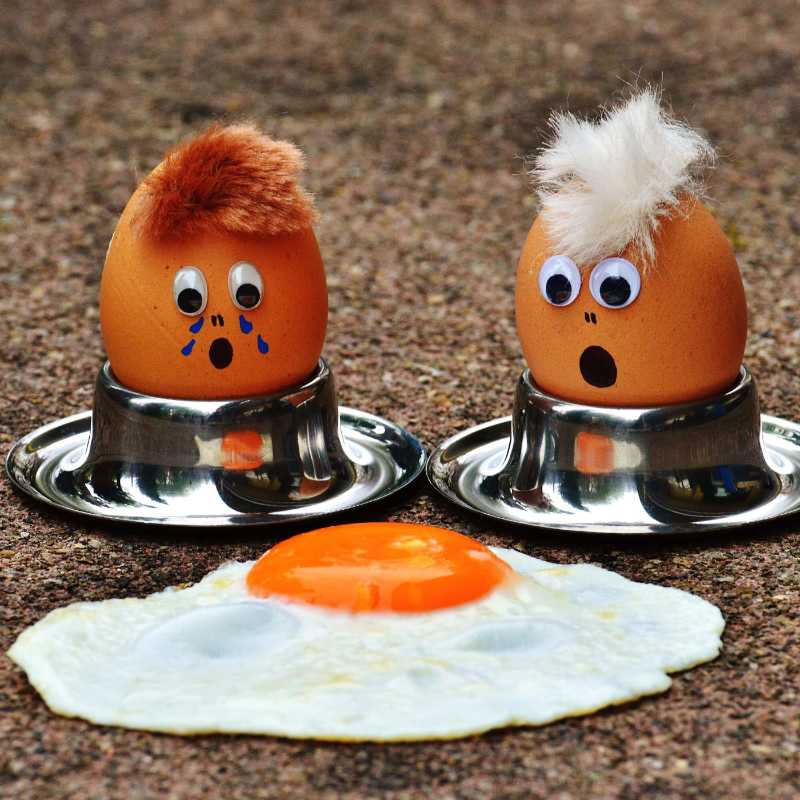 Funny Egg Pun Photo Decorated Eggs React to a Fried Egg