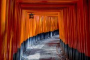 fushimi inari shrine torii temple - jigsaw puzzle